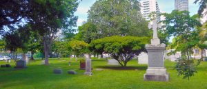 City Of Miami Cemetery - Photo