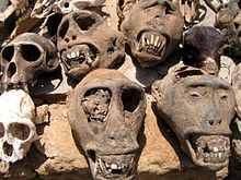 animal skulls at Akodessawa Fetish Market.